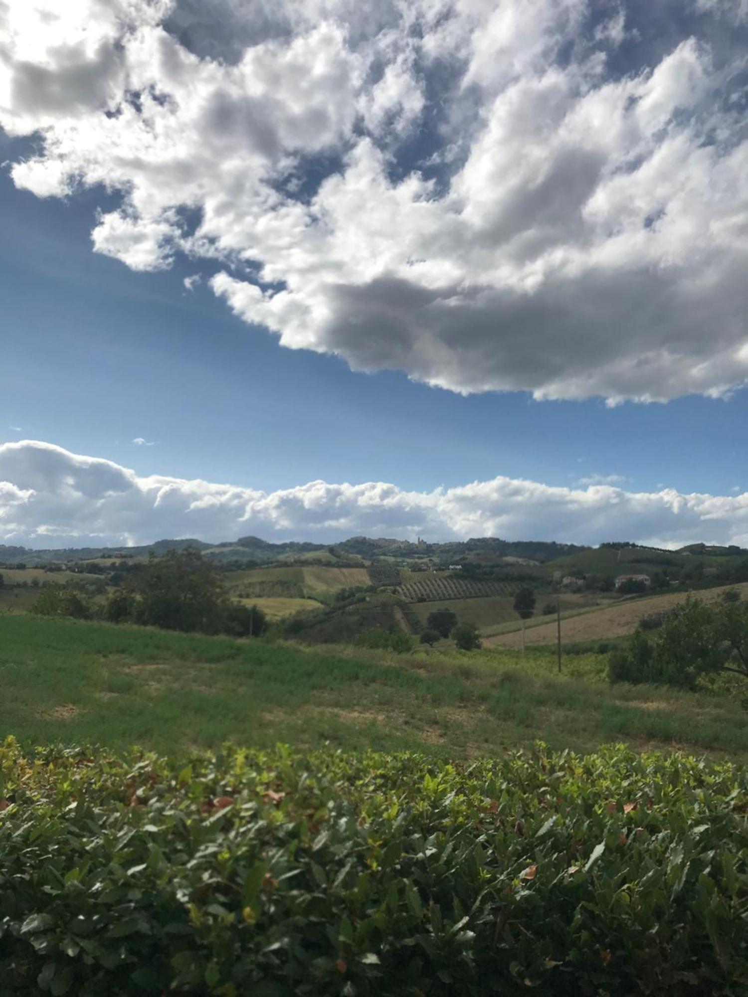 Agriturismo Cerquatonda Montalto delle Marche Buitenkant foto