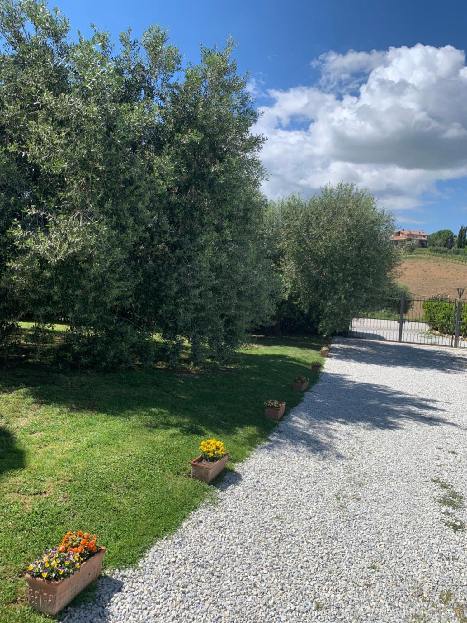 Agriturismo Cerquatonda Montalto delle Marche Buitenkant foto